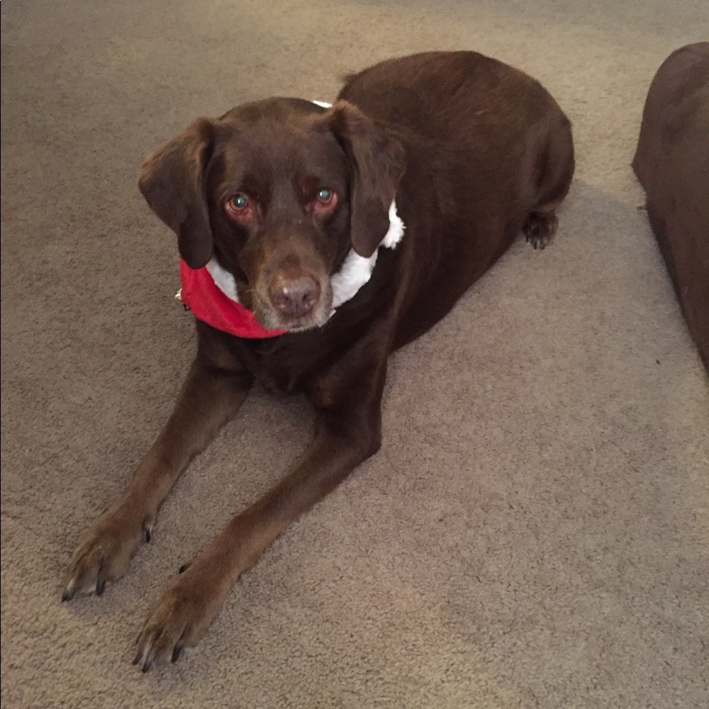 Meet your Posher, Kay